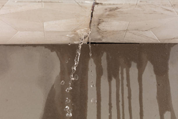 Professional Burst Pipe Cleanup technician working in Walhalla, SC